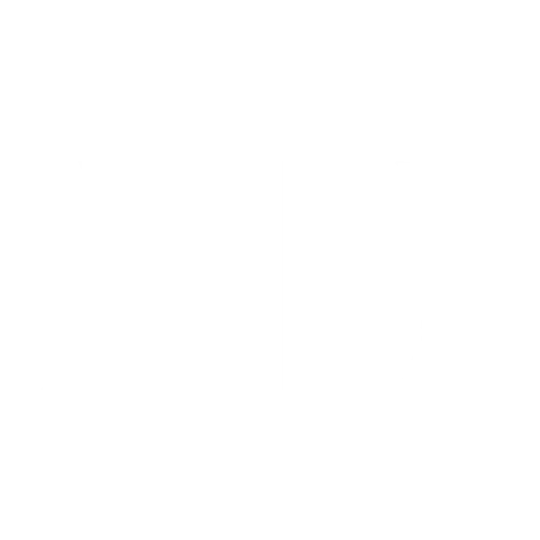 Mark Datskiy White logo